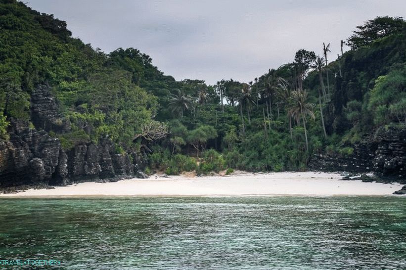 Plaža Nui na Phi Phi Donu - divlja svinja u džungli