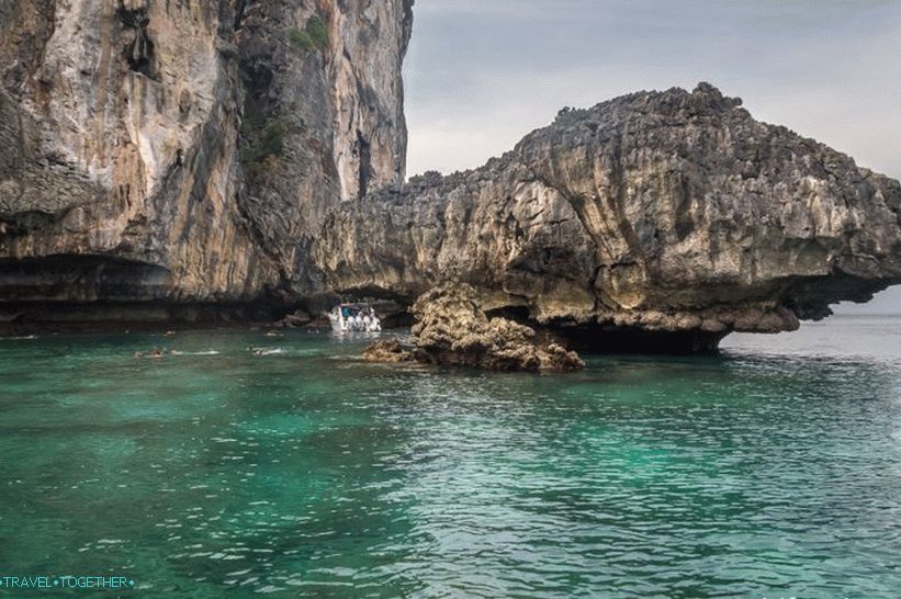 Plaža Nui na Phi Phi Donu - divlja svinja u džungli