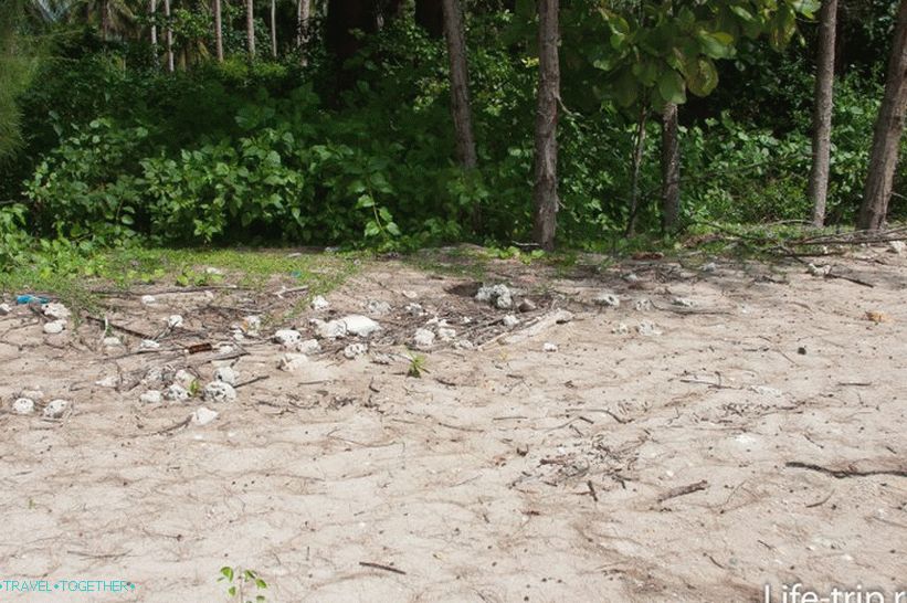 Bliže lijevo, plaža nije tako glatka i čista.