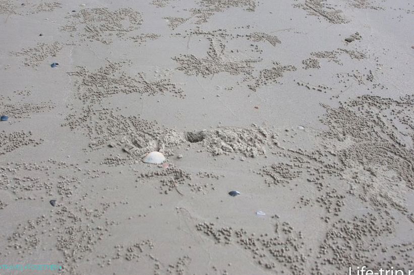 Pan Beach u Krabiu je duga i apsolutno divlja