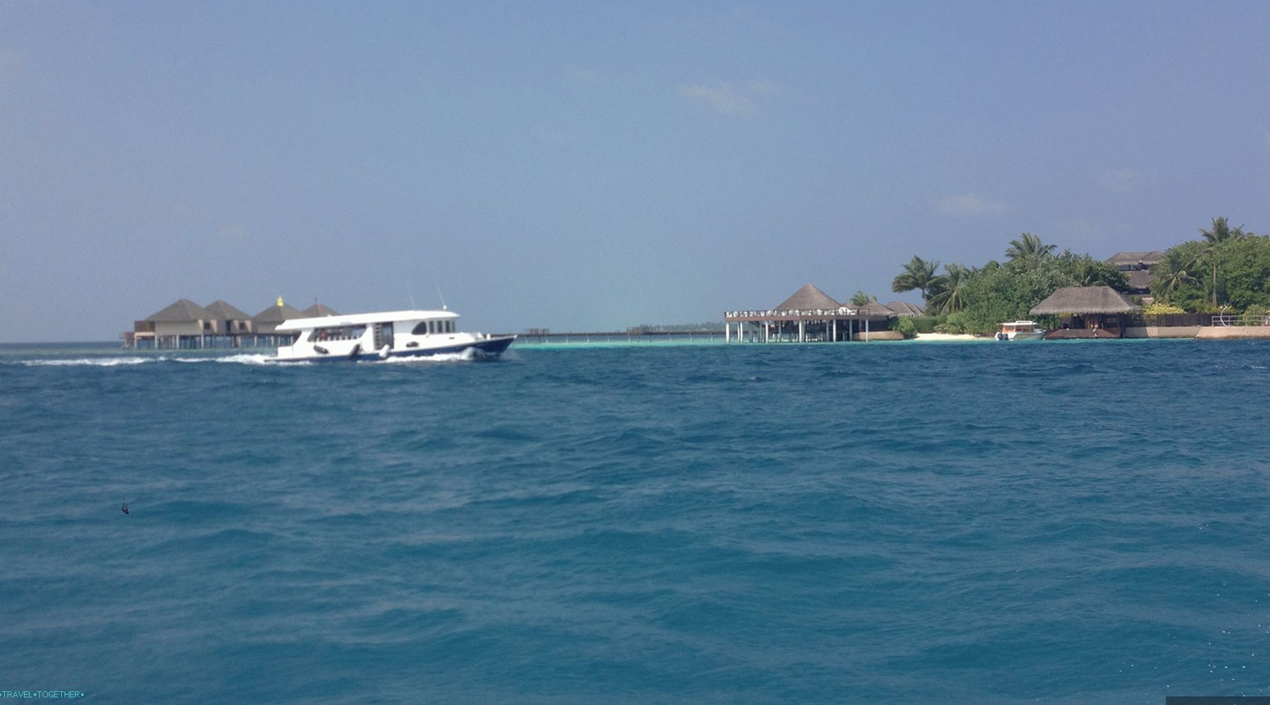 „Maldivi”