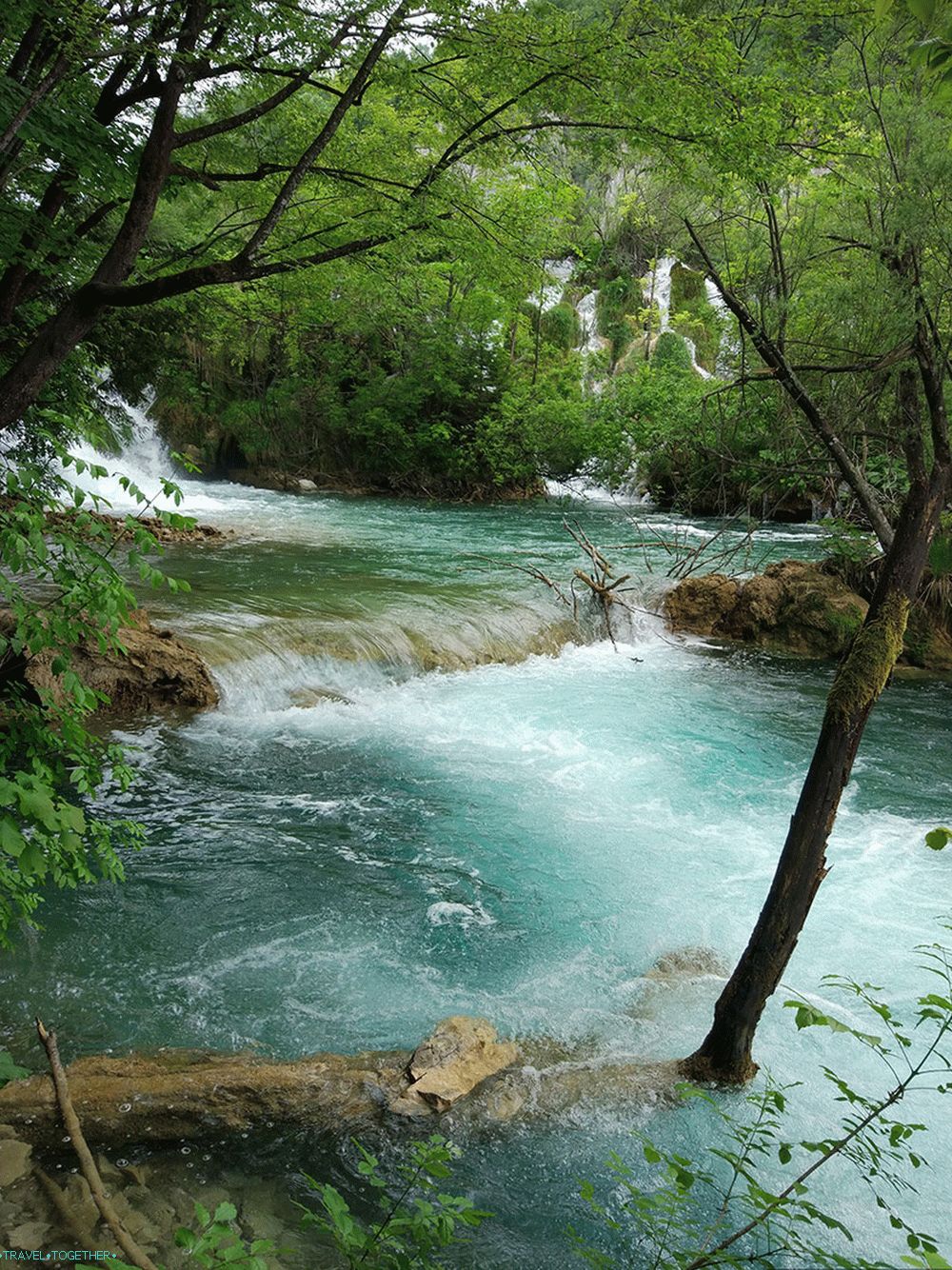 Hrvatska u srpnju