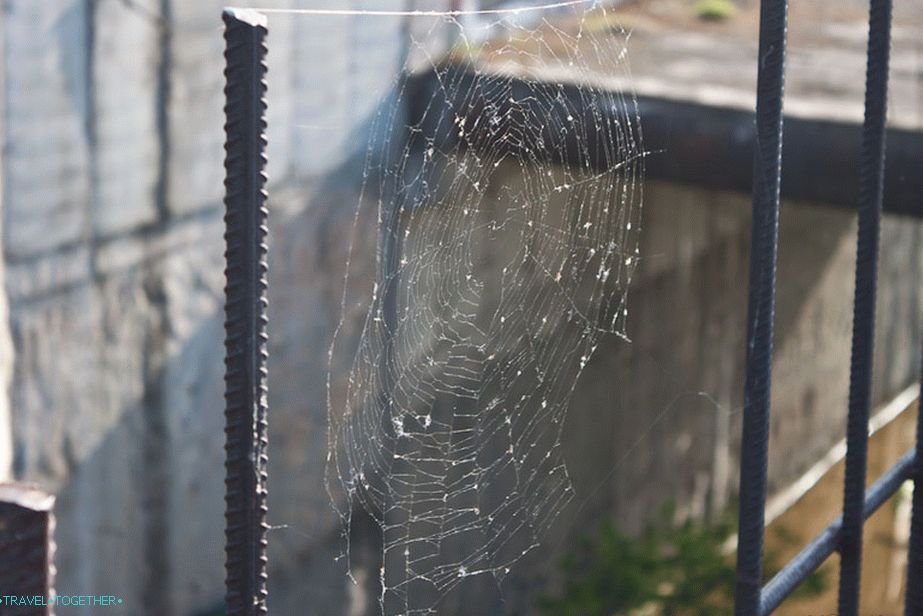 Novi stanovnik sela Gidrostroya