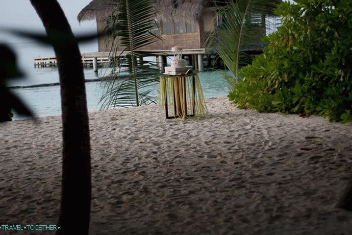 Maldivi. Svadbena torta.