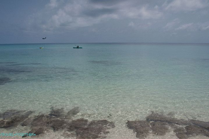 More. Maldivi.