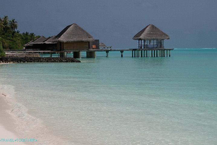 More. Maldivi.
