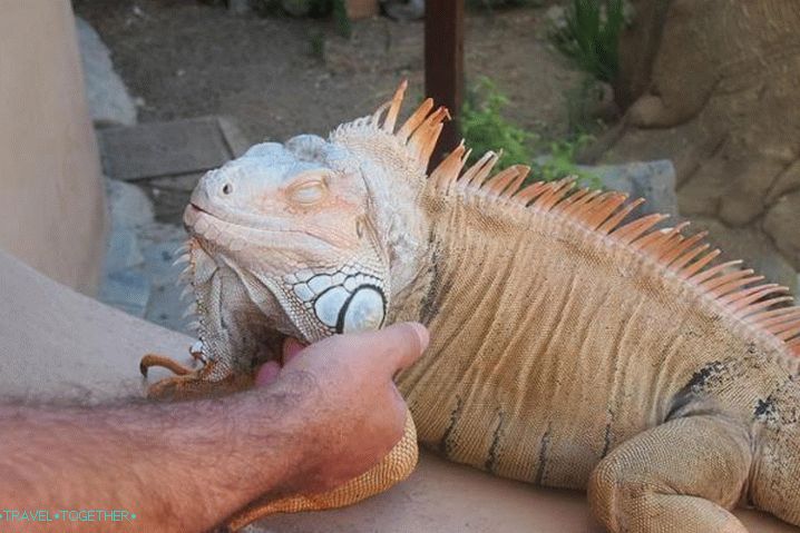 Odmor za djecu, Aquariorld terarium na Kreti