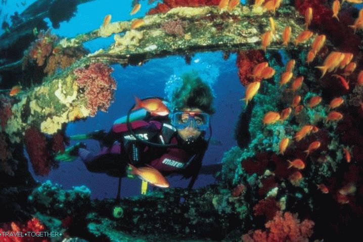 Sharm el-Sheikh, ronjenje