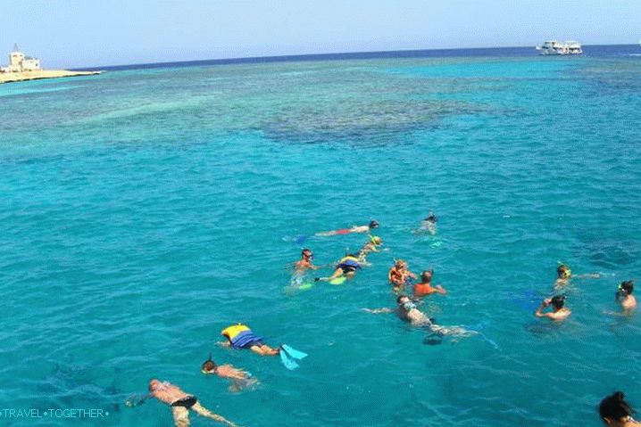 Hurgada snorkeling