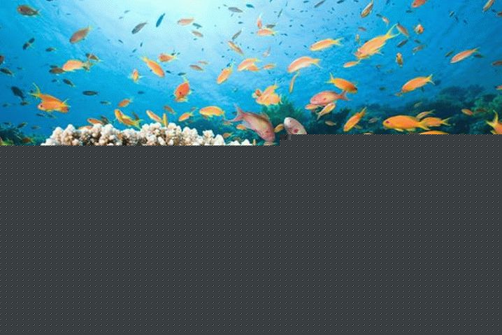 El Gouna, Crveno more u El Gouni