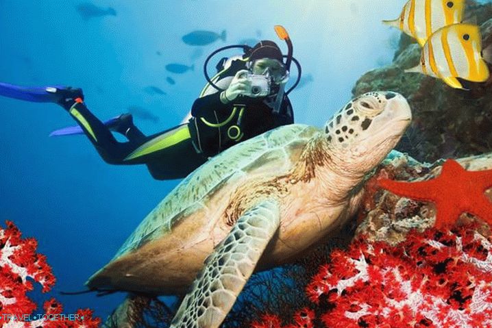 Vrijeme u Sharm el-Sheikhu u listopadu - Sea World Sharm el-Sheikh