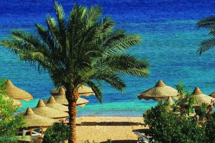 Sharm el-Sheikh, obala