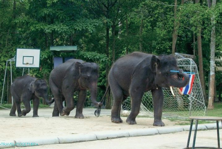 Samui za djecu, Namuang Safari Park na Samui