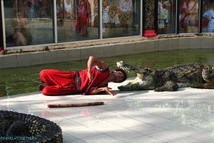 Tajlandski zoološki vrt Phuket Phuket