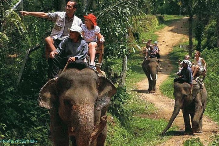 Samui, Trekking slonova
