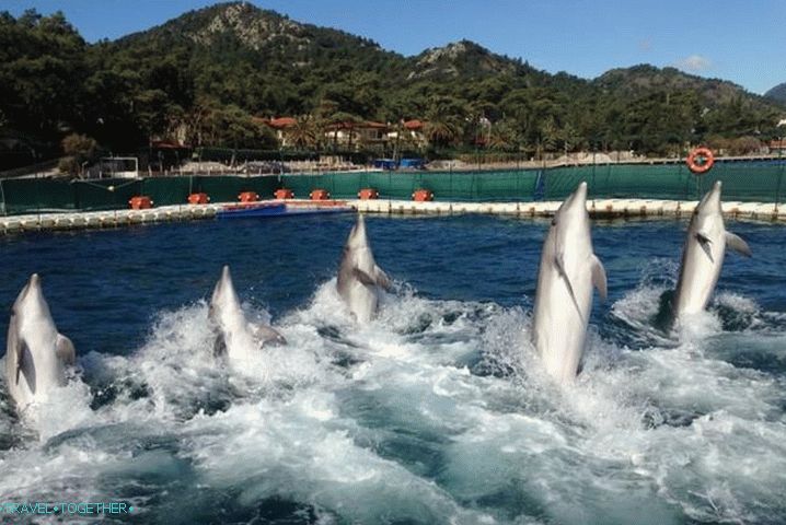 Odmor s djecom, Delfinarij Marmaris