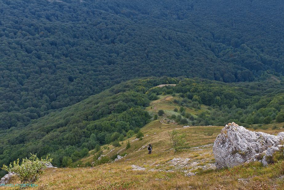 Odavde smo došli