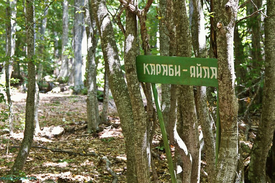 Pointer ka Karabi Yaylu