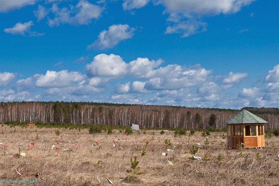 Sjajno naselje 2010.
