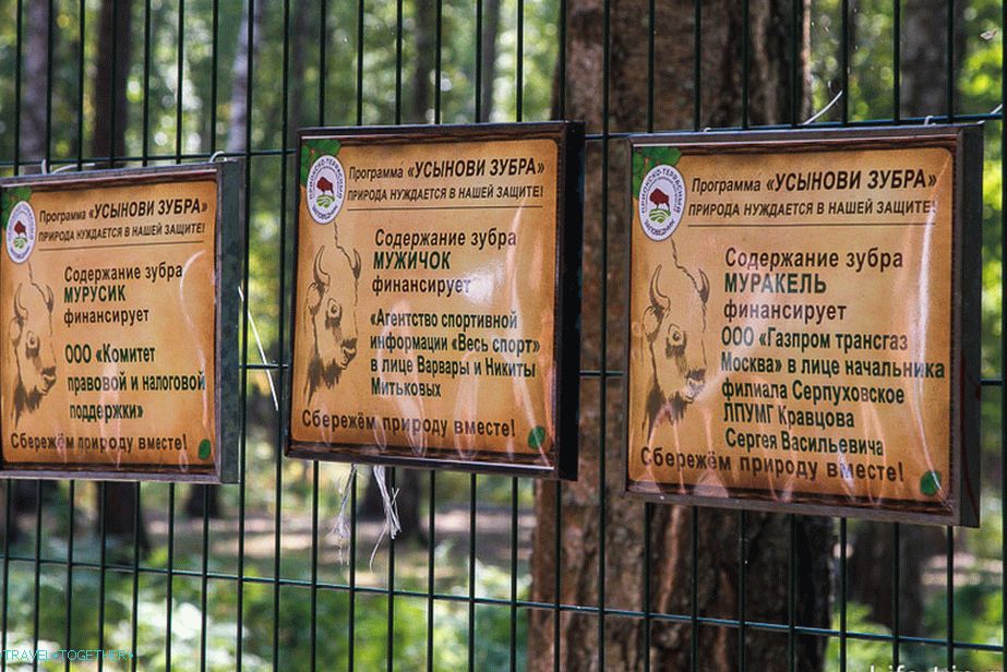 U Rusiji bi svi bizoni trebali biti pozvani od MU
