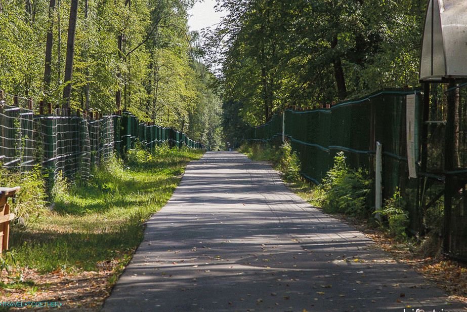 Cesta uz olovke unutar dječjeg vrtića