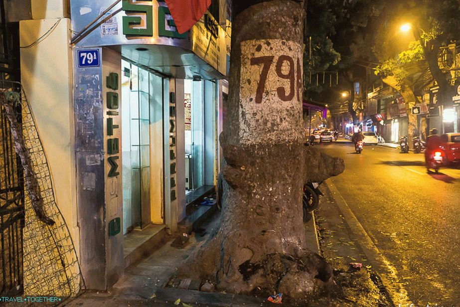 Kućni brojevi se ponekad umnožavaju u drveću