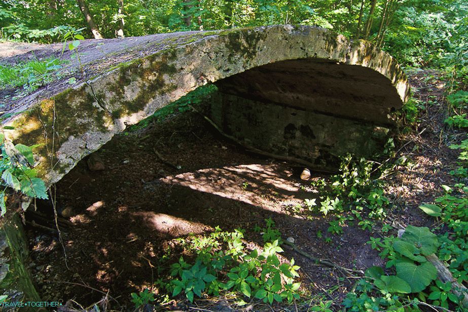 Most pored močvarnog ribnjaka