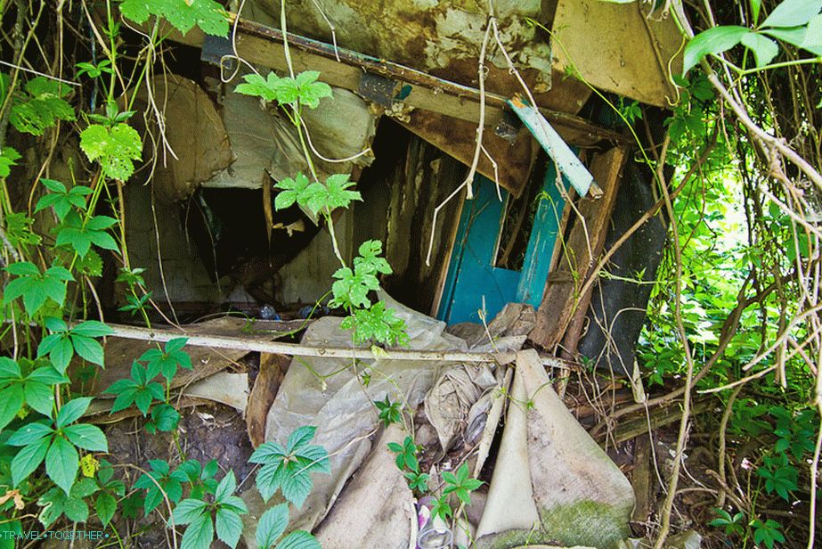 Ispostavlja se da je to neka vrsta obrasle i uništene strukture dacha