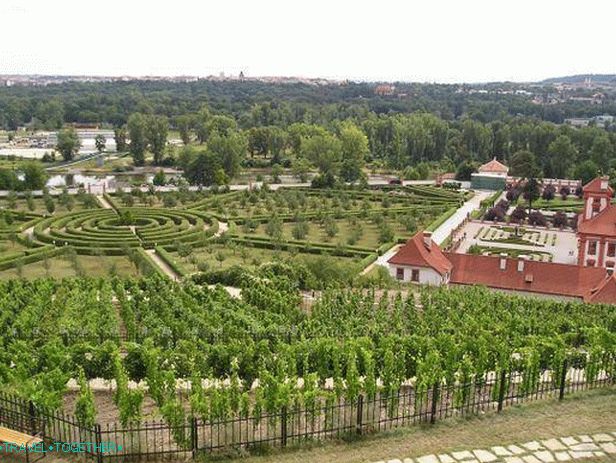 Vinogradi dvorca Troy