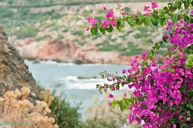 Bali - odmaralište na Kreti