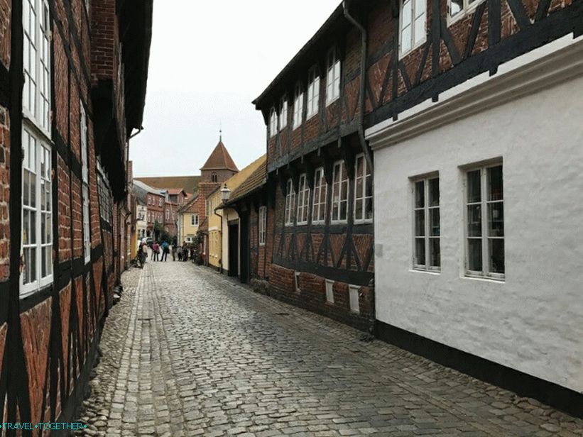 Ulica Ribe