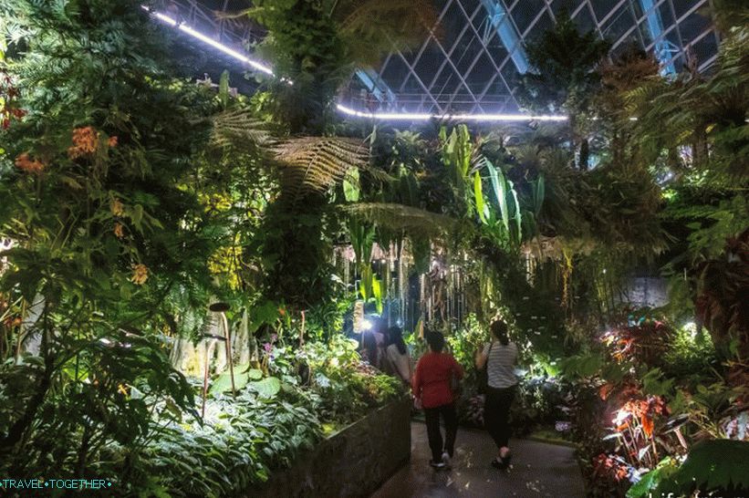 Vrtovi uz zaljev u Singapuru - glavna atrakcija