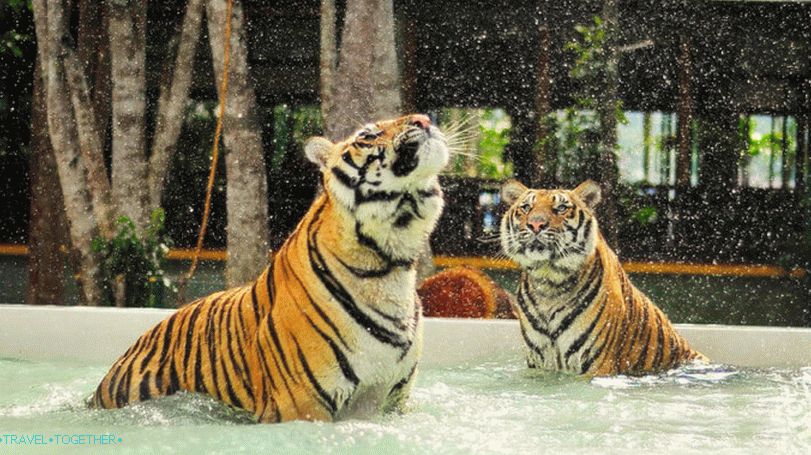 Park tigrovi na Phuketu
