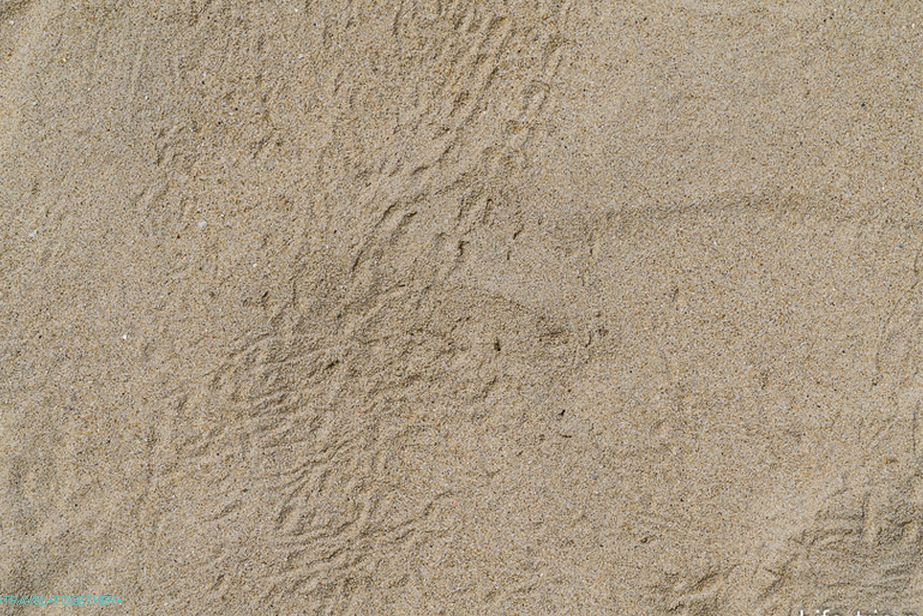 Pješčana plaža-02
