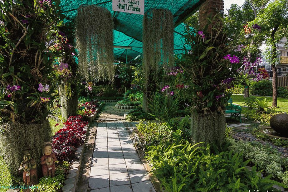 Mali Arboretum