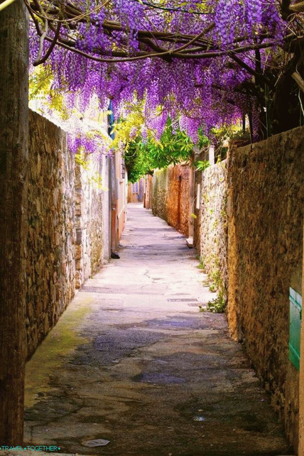 Cvjetne ulice Saint-Tropeza