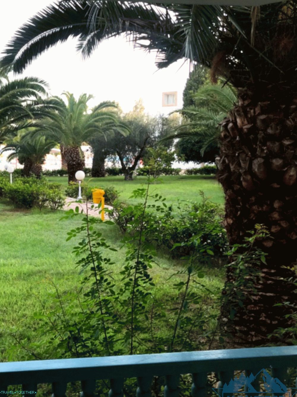 Priroda u Tunisu u hotelu