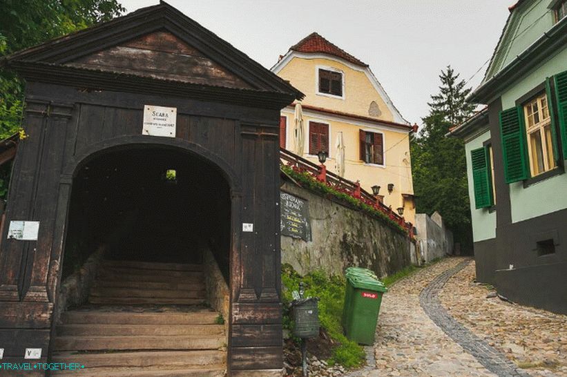 Ljestve znanstvenika