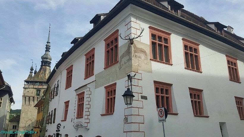 Oleniy house