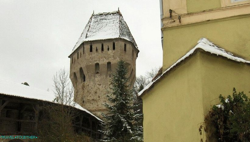 Tower of Rogues