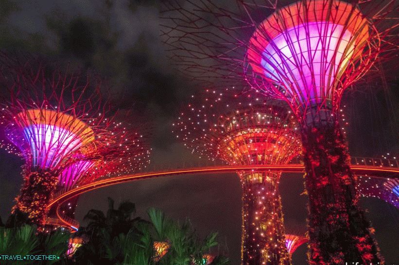 Light show s drvećem od Avatar-a u Singapuru - moram vidjeti!