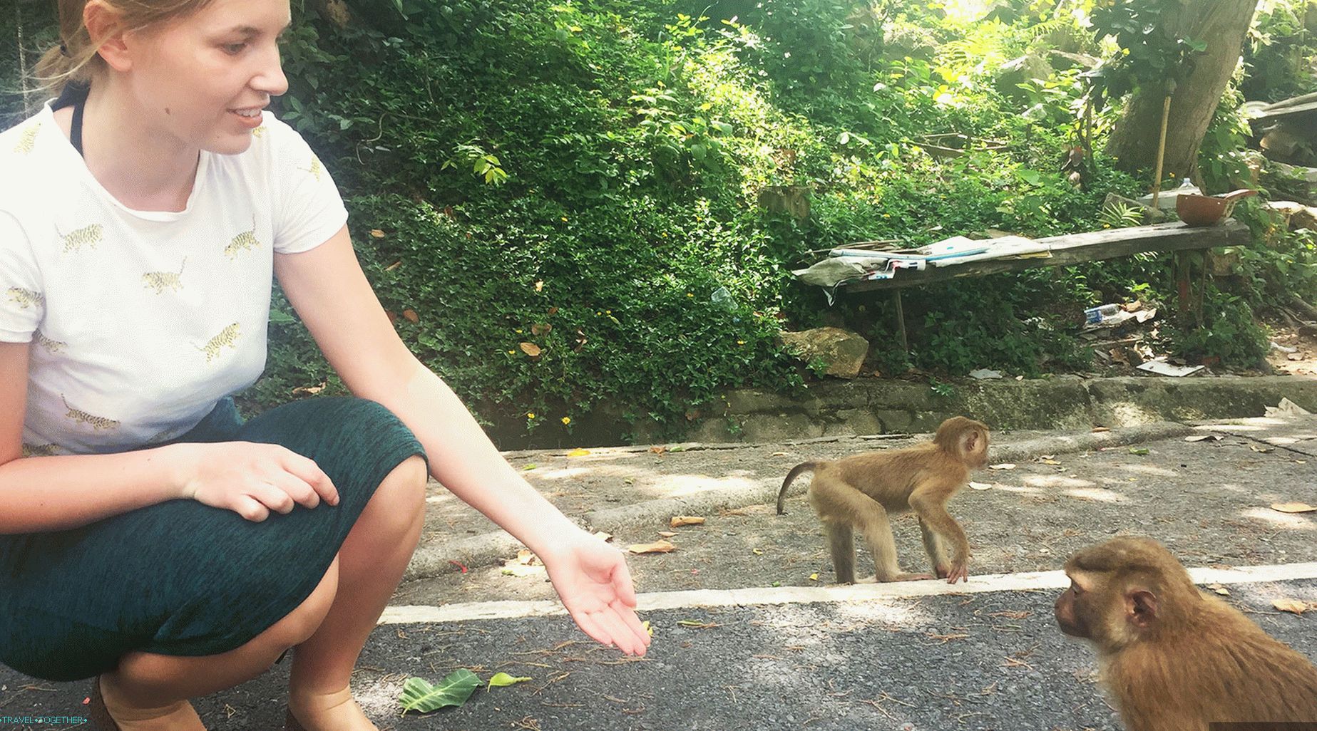 Izlet na majmune u Phuketu - brdo majmuna