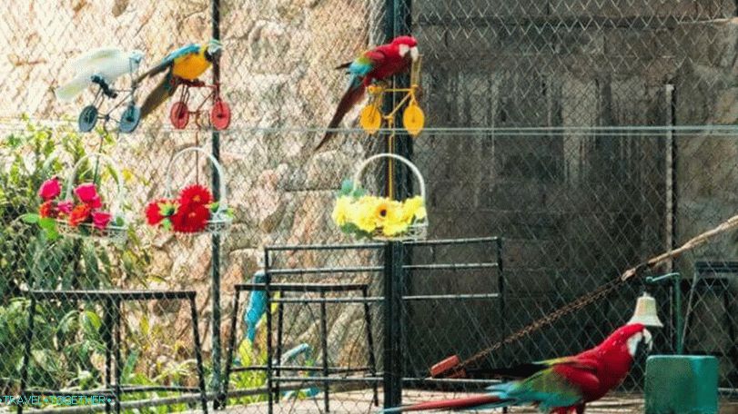 Tigrov zoološki vrt i akvarij na Samuiju