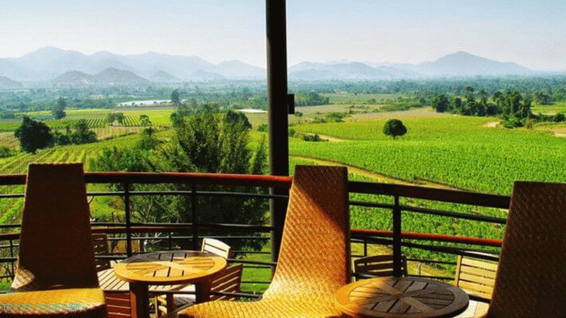 Vinogradi vinograda Hua Hin Hills u Hua Hinu