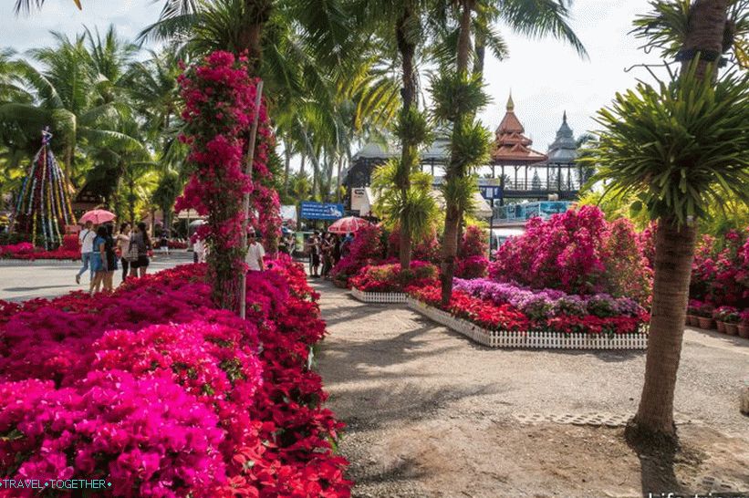 Tropski park Nong Nooch u Pattayi glavna je atrakcija