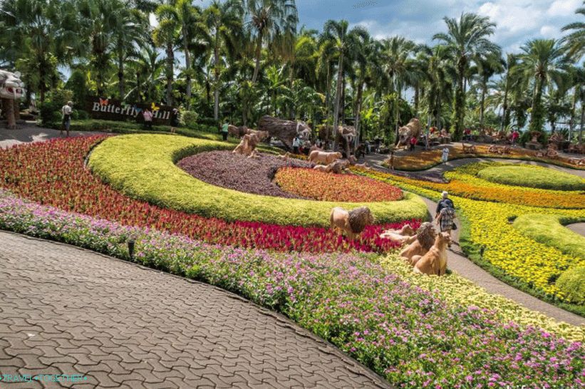 Tropski park Nong Nooch u Pattayi glavna je atrakcija