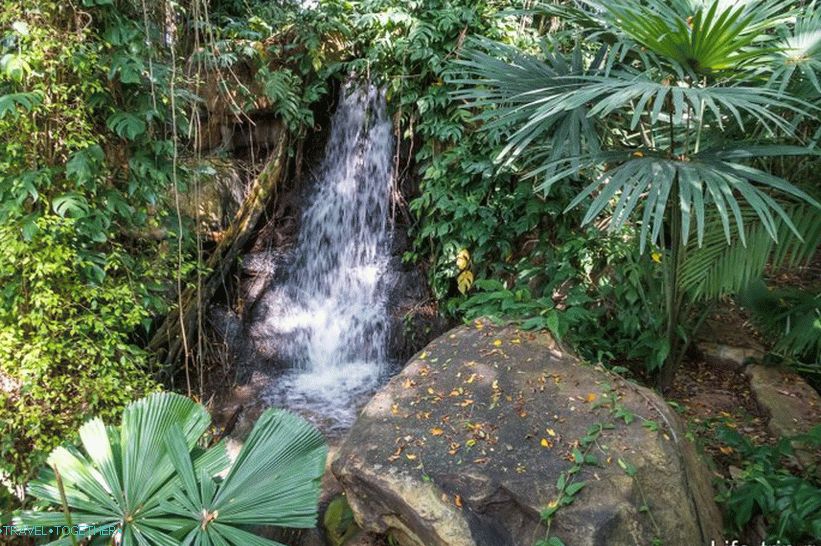 Tropski park Nong Nooch u Pattayi glavna je atrakcija