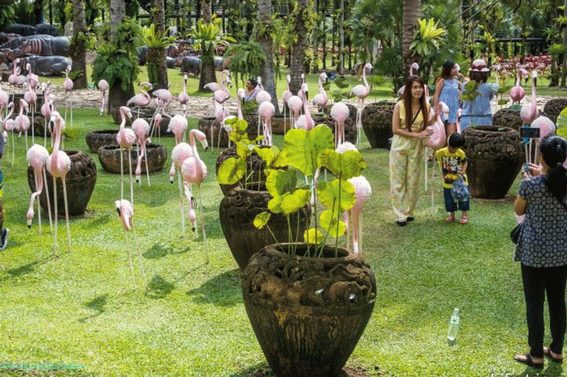 Tropski park Nong Nooch u Pattayi glavna je atrakcija