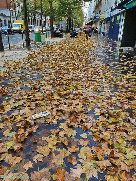 Pariške ulice su poplavljene lišćem