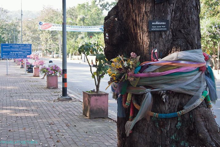 Ulica Huay Kaew u Chiang Maiu